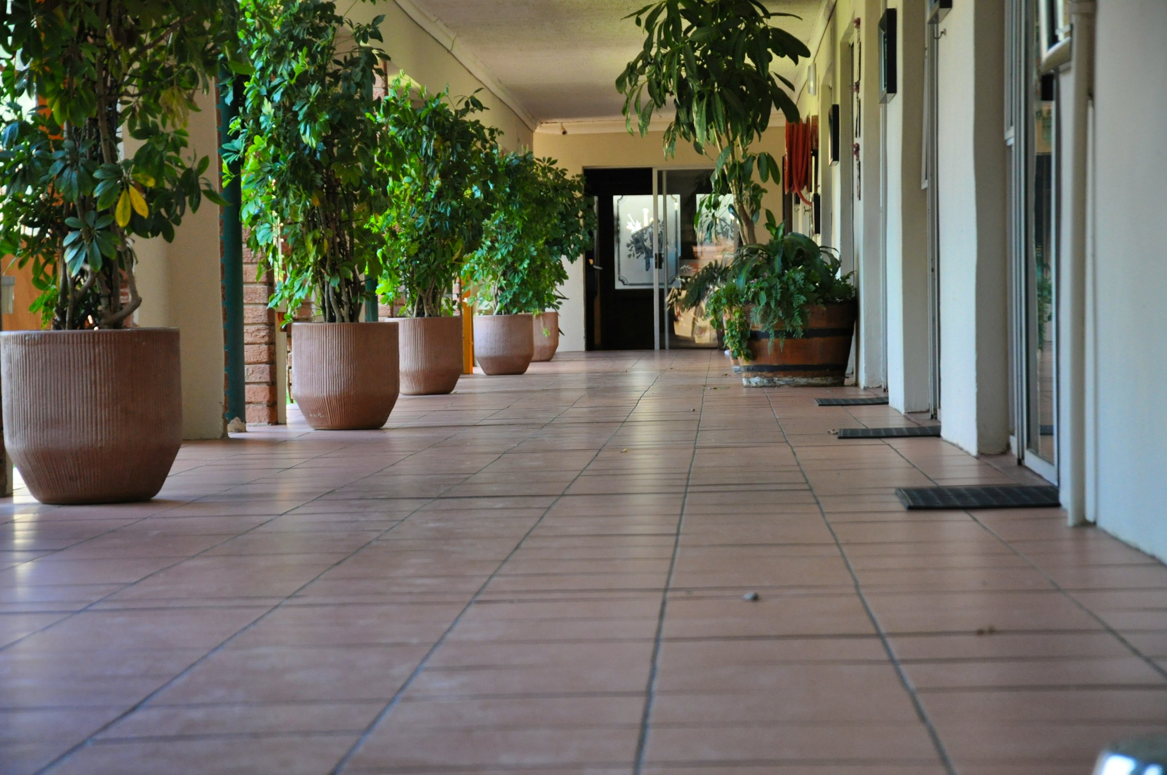 Verandah and garden walkway with potted plants at Au Jardin Guesthouse